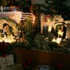Blagoslov konj 26.12.2012
